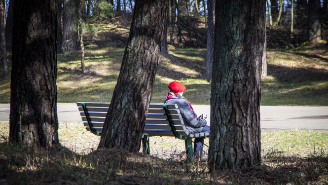Mežaparks