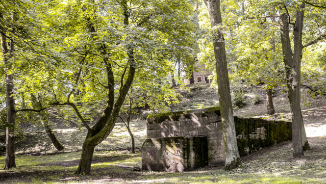 Aldara parks