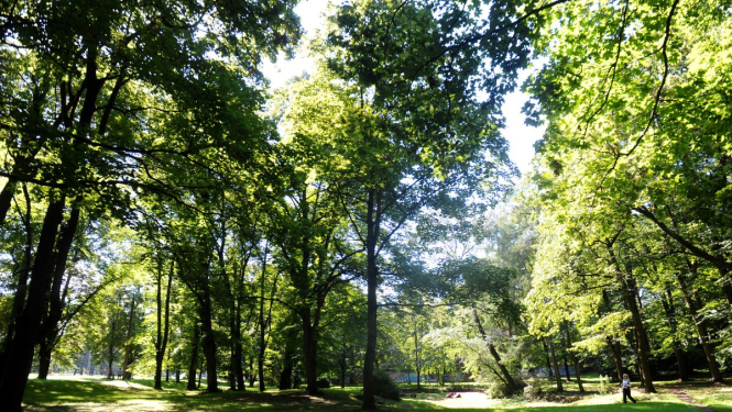 Aldara parks