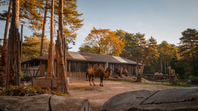 Rudens Rīgas zoo