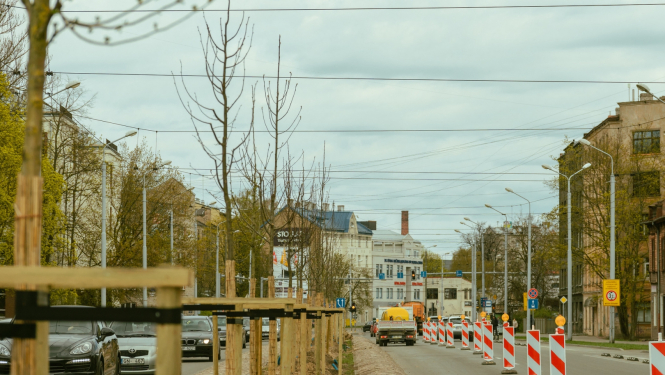 Iestādīti koki