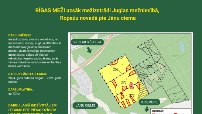 Mežizstrāde
