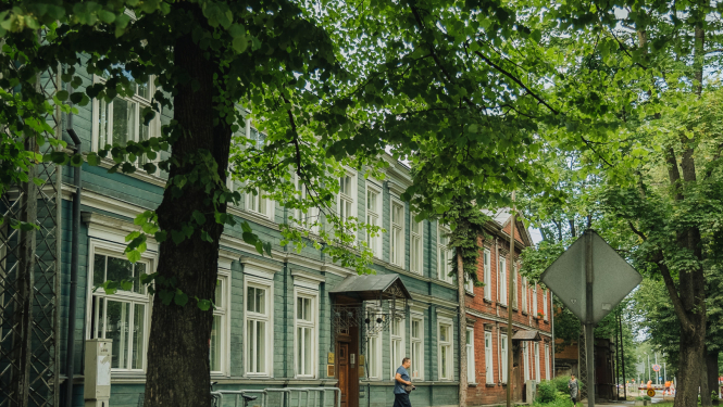 Koka māja, koki