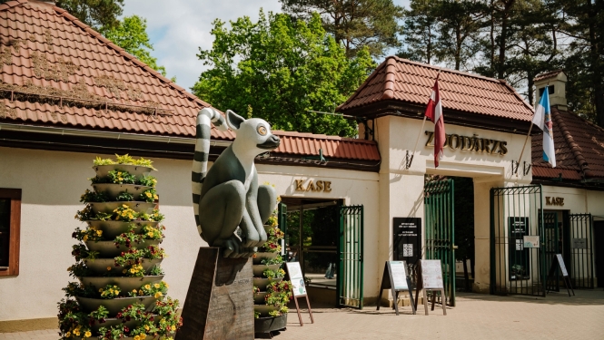 Lemūrs pie Zooloģiskā dārza ieejas