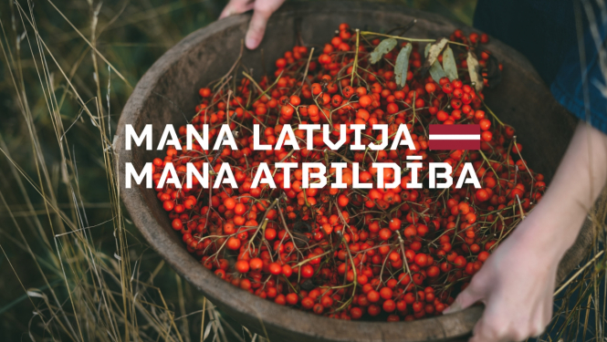 Valsts svētku vizuālis - pīlādžogas bļodā