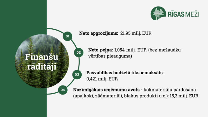 Gada pārskata dati