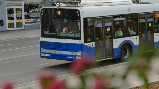 Trolejbuss