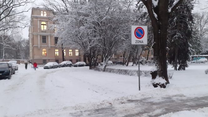 Kronvalda parks