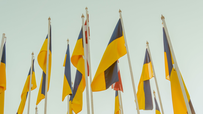 Ukrainas karogi