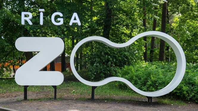 Burti Rīgas zoo