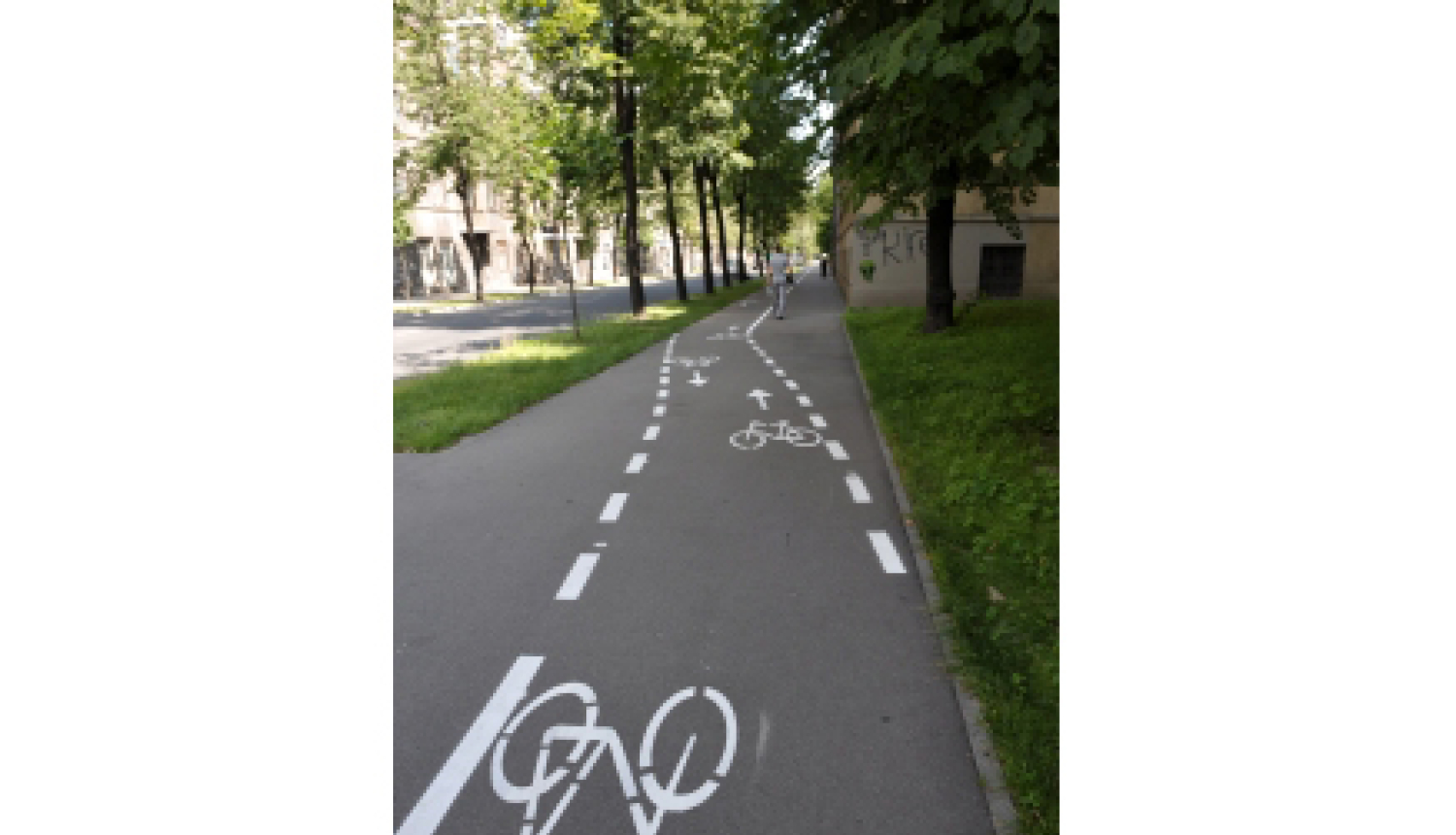 Veloceliņš