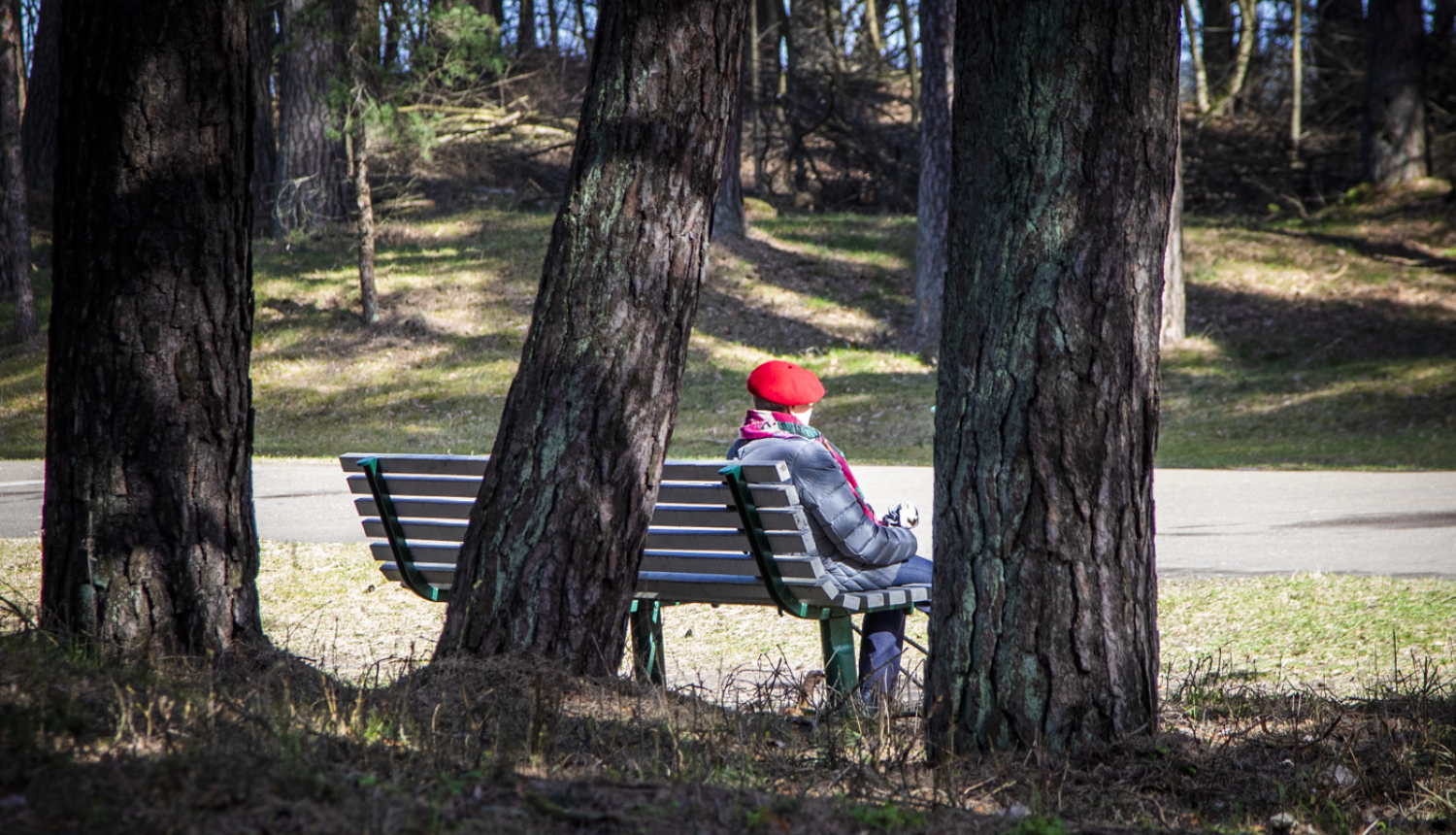 Mežaparks