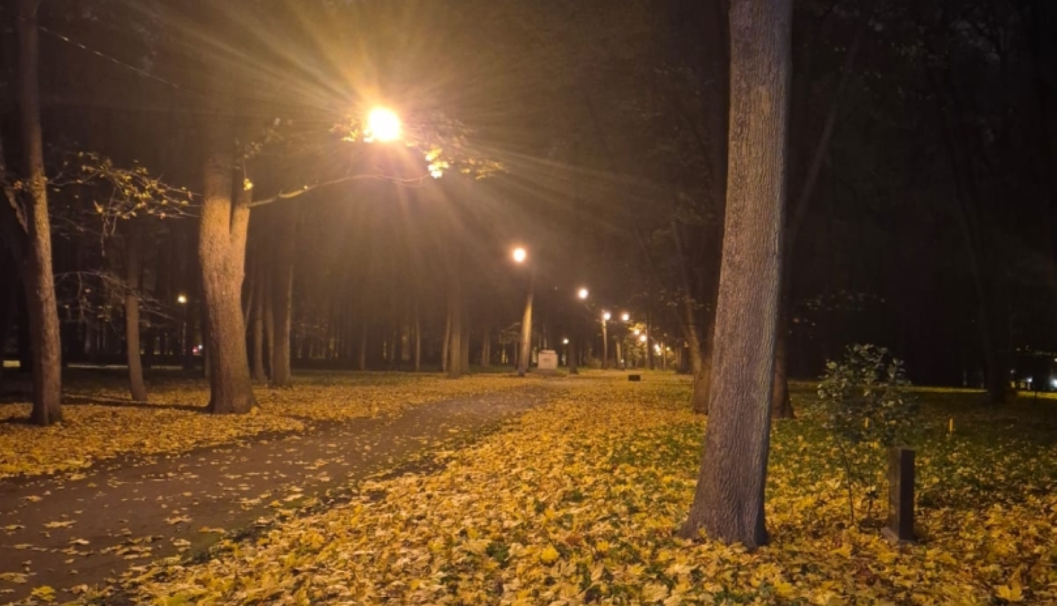 Apgaismots gājēju celiņš Lielajos kapos