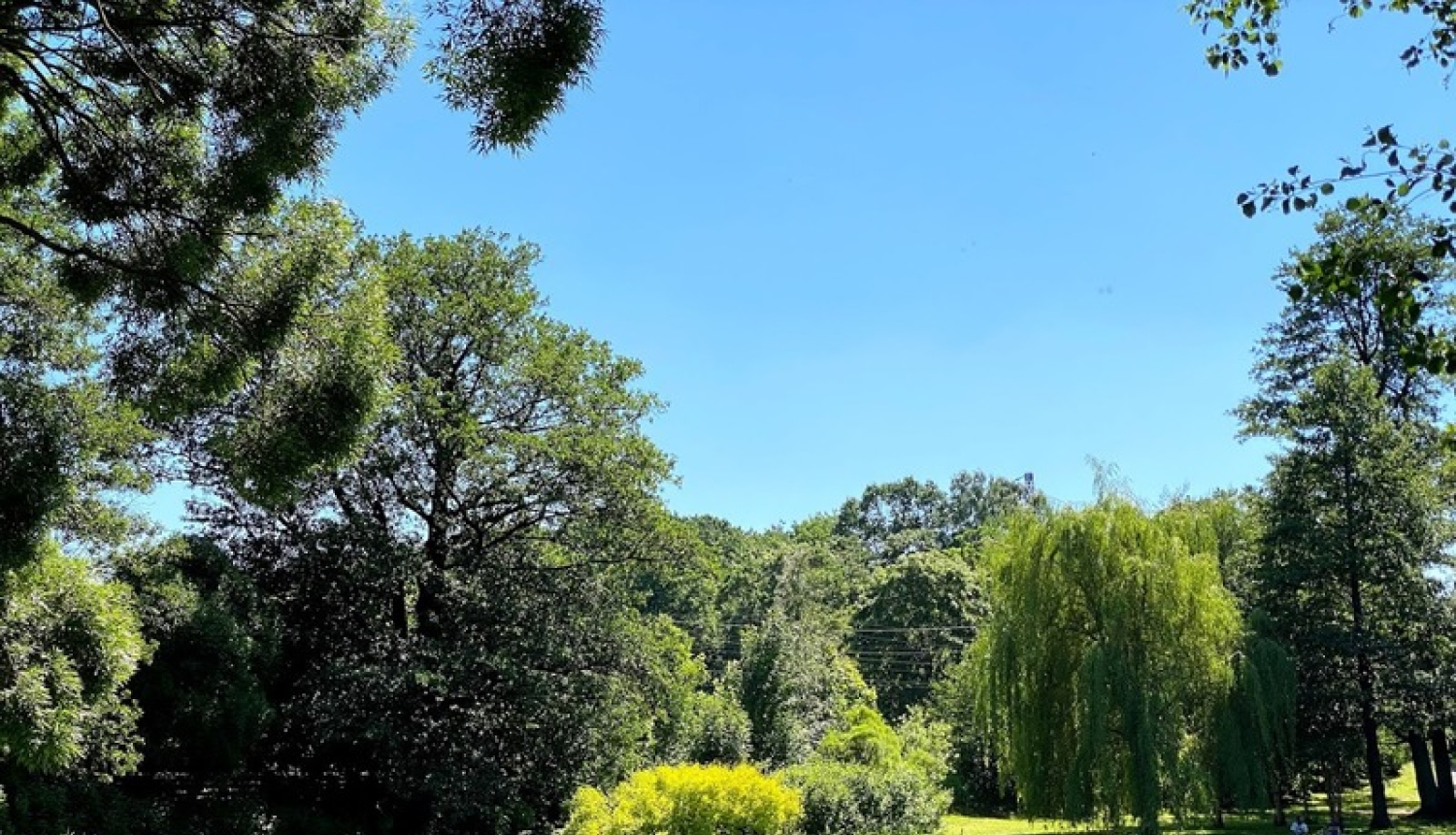 Arkādijas parks