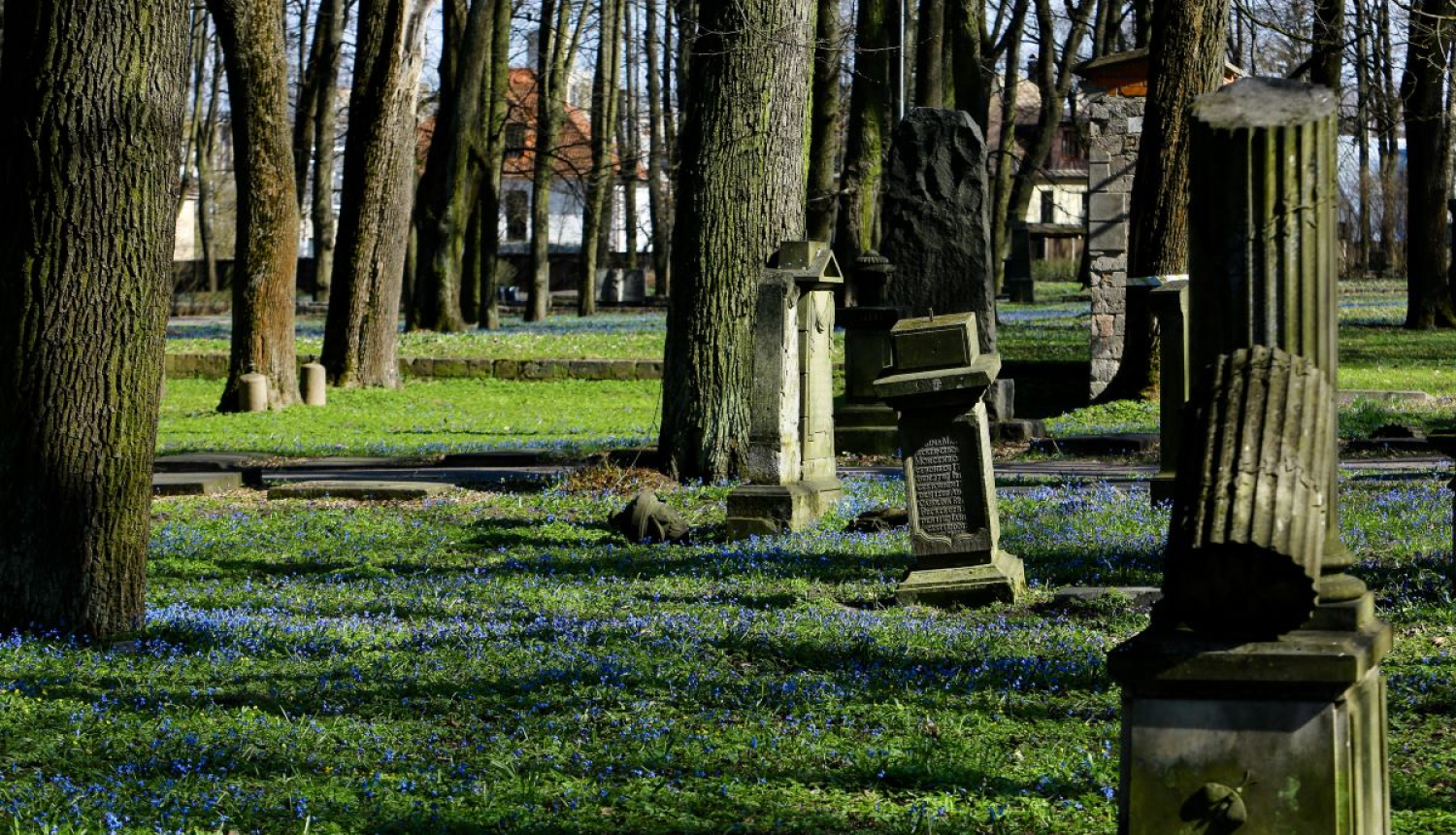 Lielie kapi