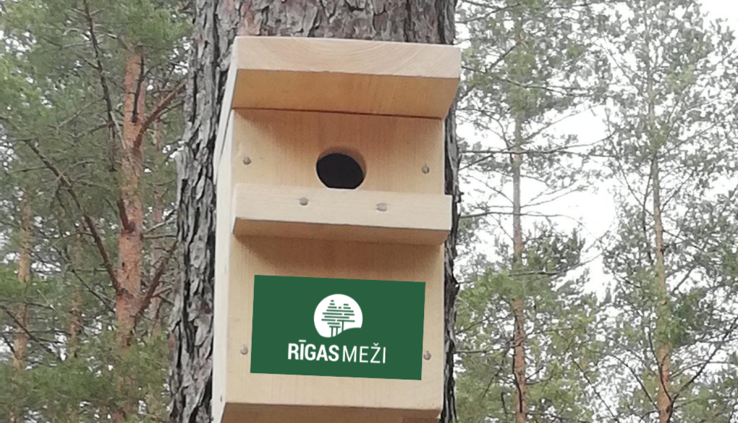 Putnu būrītis