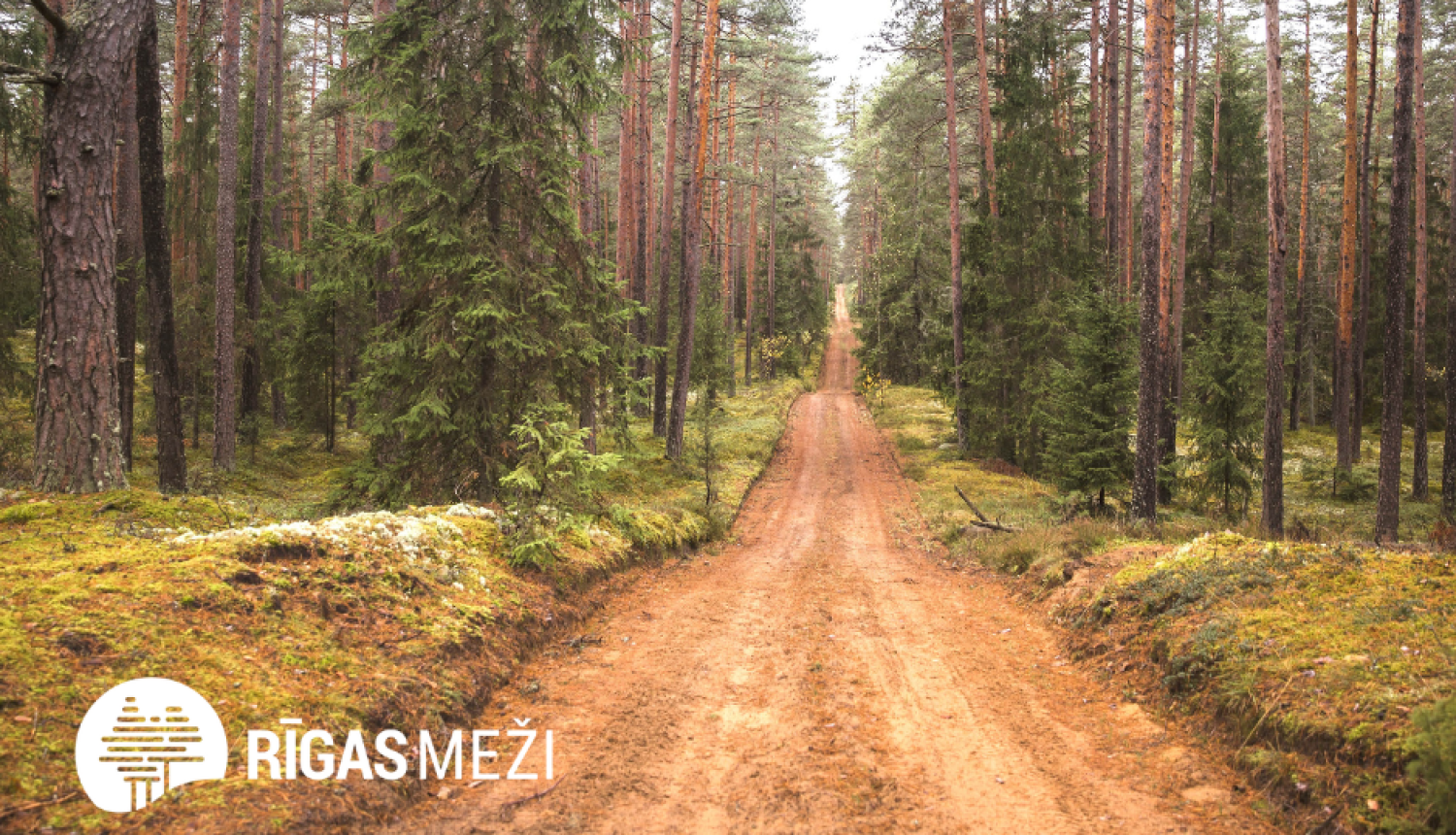 Rīgas mežu taka