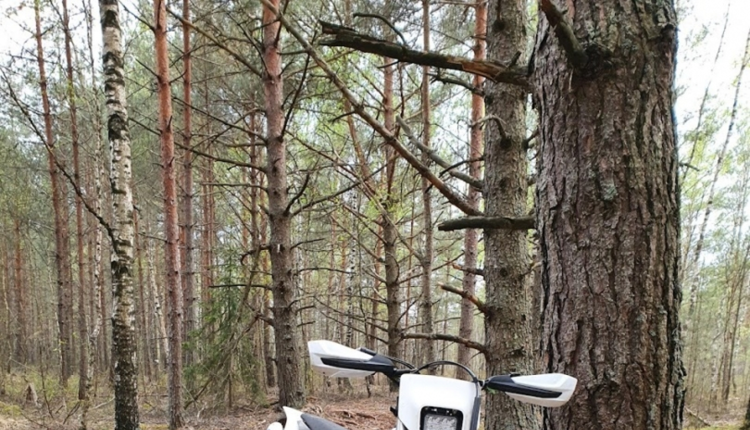 Enduro mocis