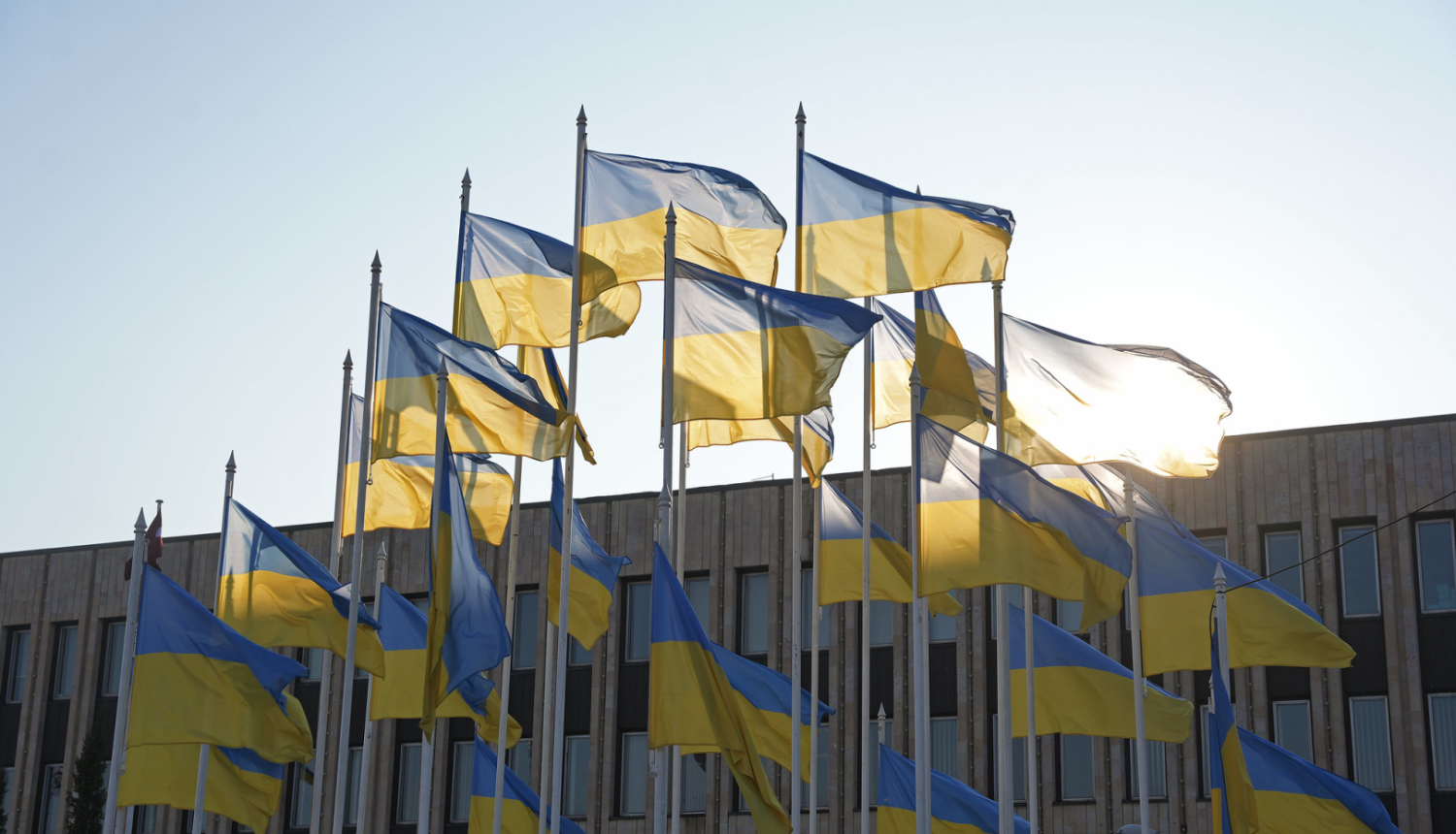 Ukrainas karogi