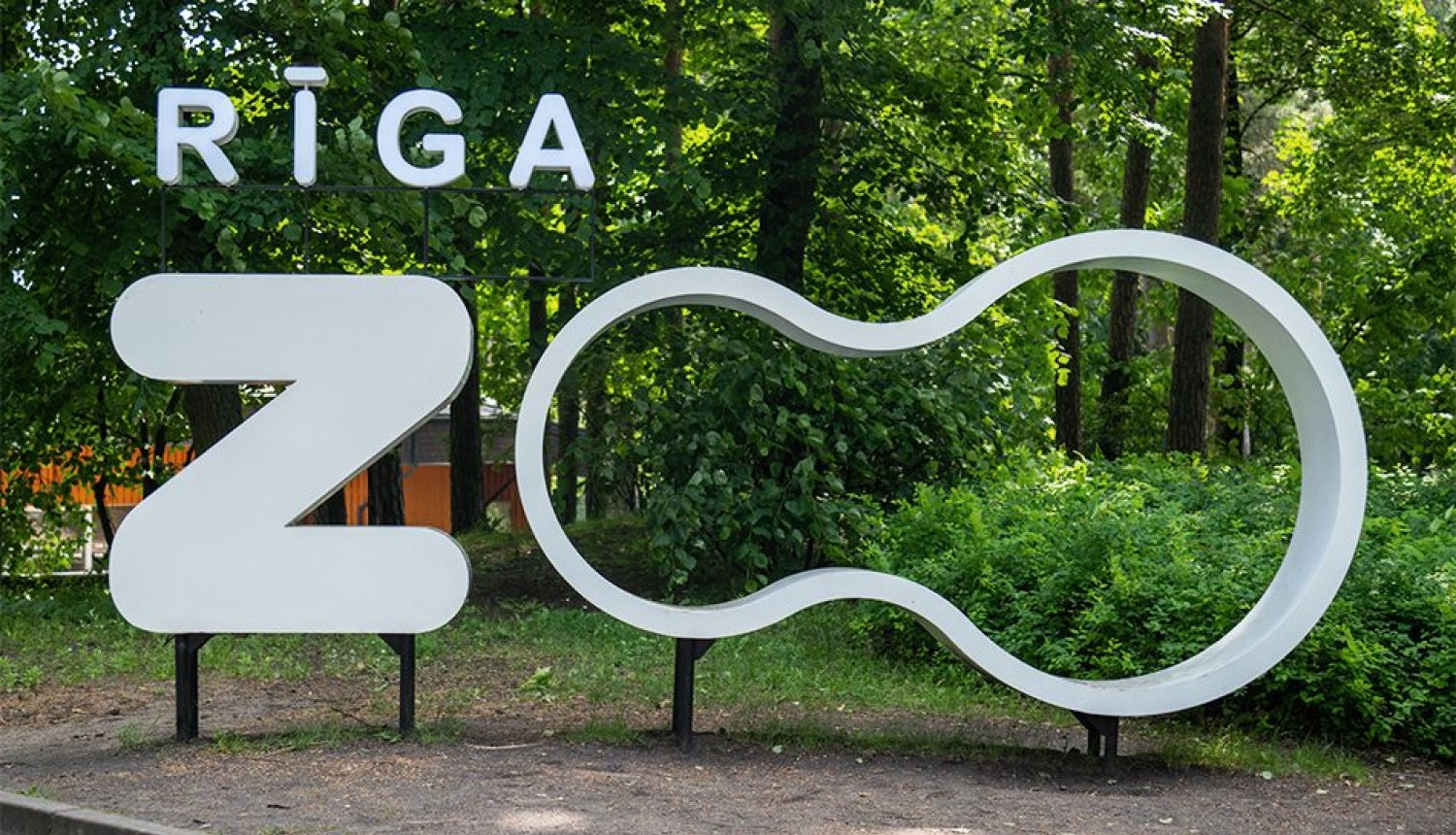 Burti Rīgas zoo
