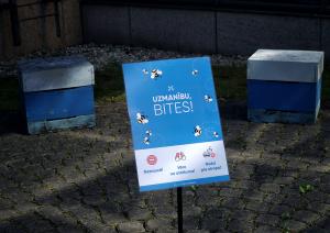 Uzmanību bites