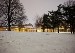 Kalna parks