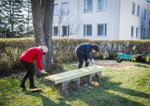 Krāso soliņu