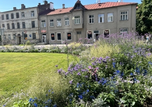 “Zilā pasaka” - puķu dobe Kuldīgas un Slokas ielu krustojumā.