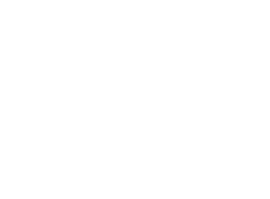 Rīgas pilsētas pašvaldība