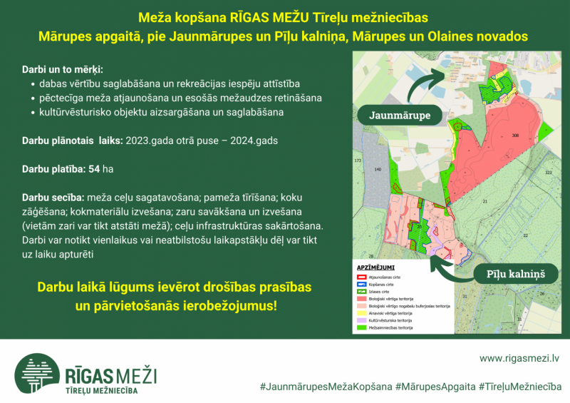 Informācija par mežu kopšanu Rīgas mežniecībās