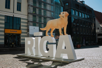 Animācijas filmas “Straume” suns