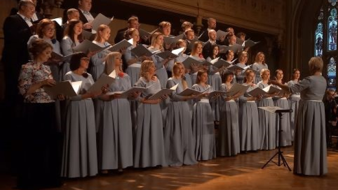 Jauktais koris “Medera”