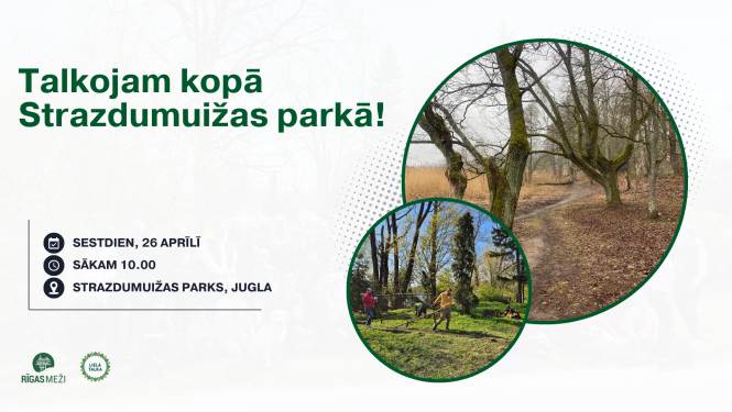 Talakas vizualis