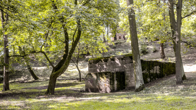 Aldara parks