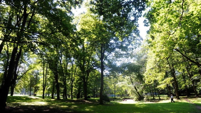 Aldara parks
