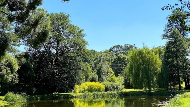 Arkādijas parks
