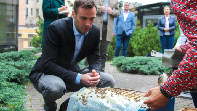 Urbānais biškopis Uģis Mālnieks iepazīstina Rīgas domes priekšsēdētāju Mārtiņu Staķi ar bišu stropu ieziemošanas procesu