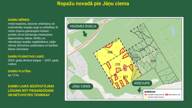 Mežizstrāde