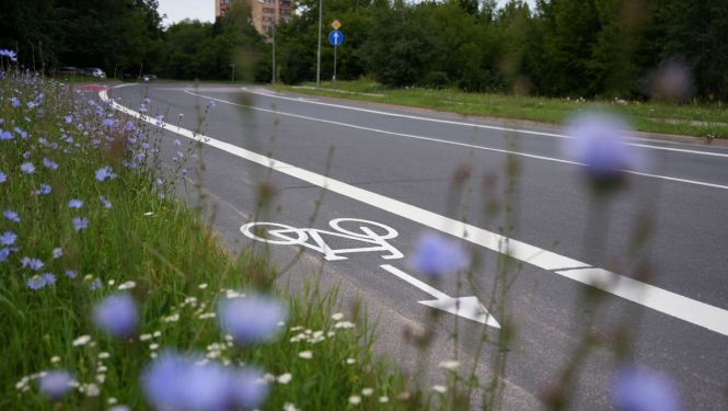 Velo josla Ezermalas ielā