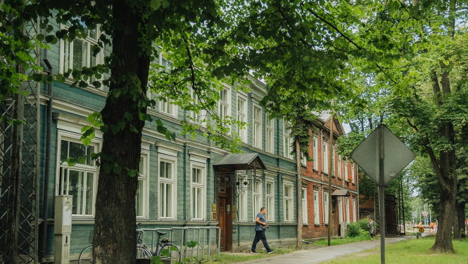 Koka māja, koki