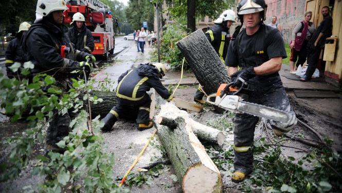Ugunsdzēsēji atbrīvo brauktuvi no nolauztiem kokiem