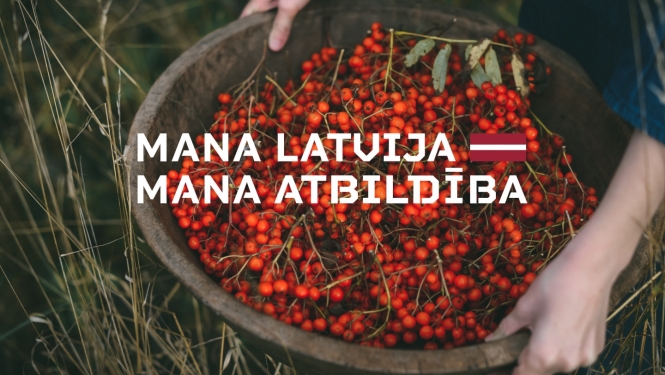 Valsts svētku vizuālis - pīlādžogas bļodā