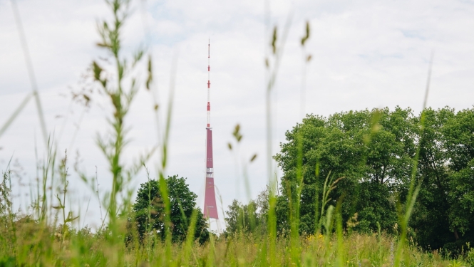 Pļava un televīzijas tornis