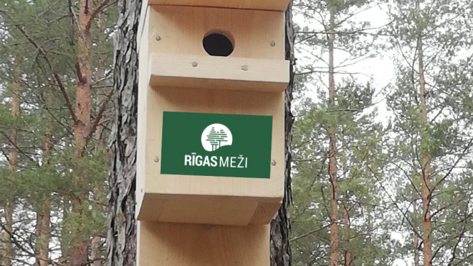 Putnu būrītis