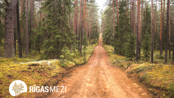 Rīgas mežu taka