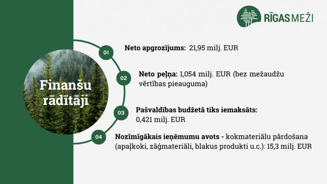 Gada pārskata dati