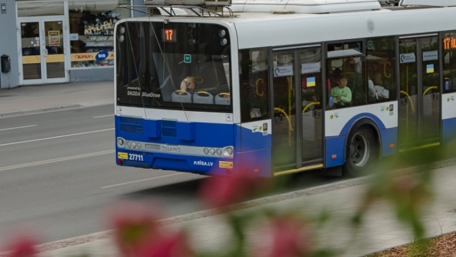 Trolejbuss