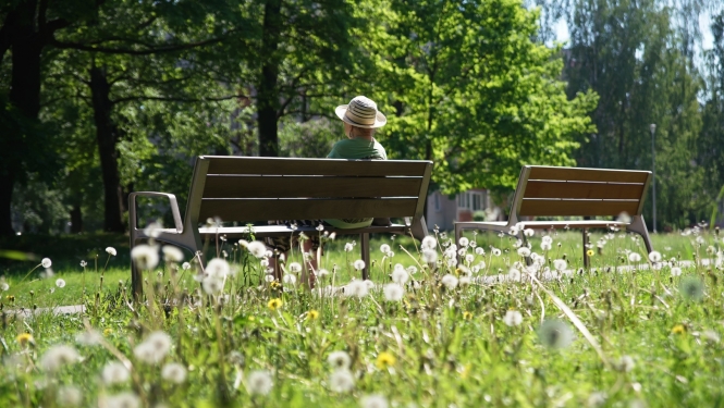 Soliņi Duntes ielā