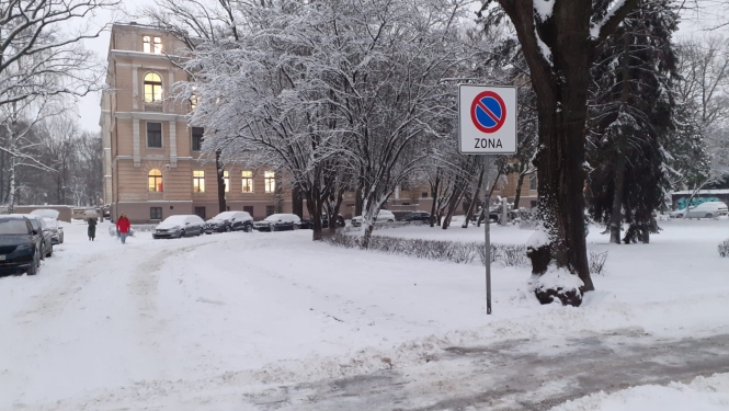 Kronvalda parks