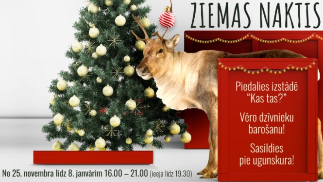 Ziemas naktis Zoo